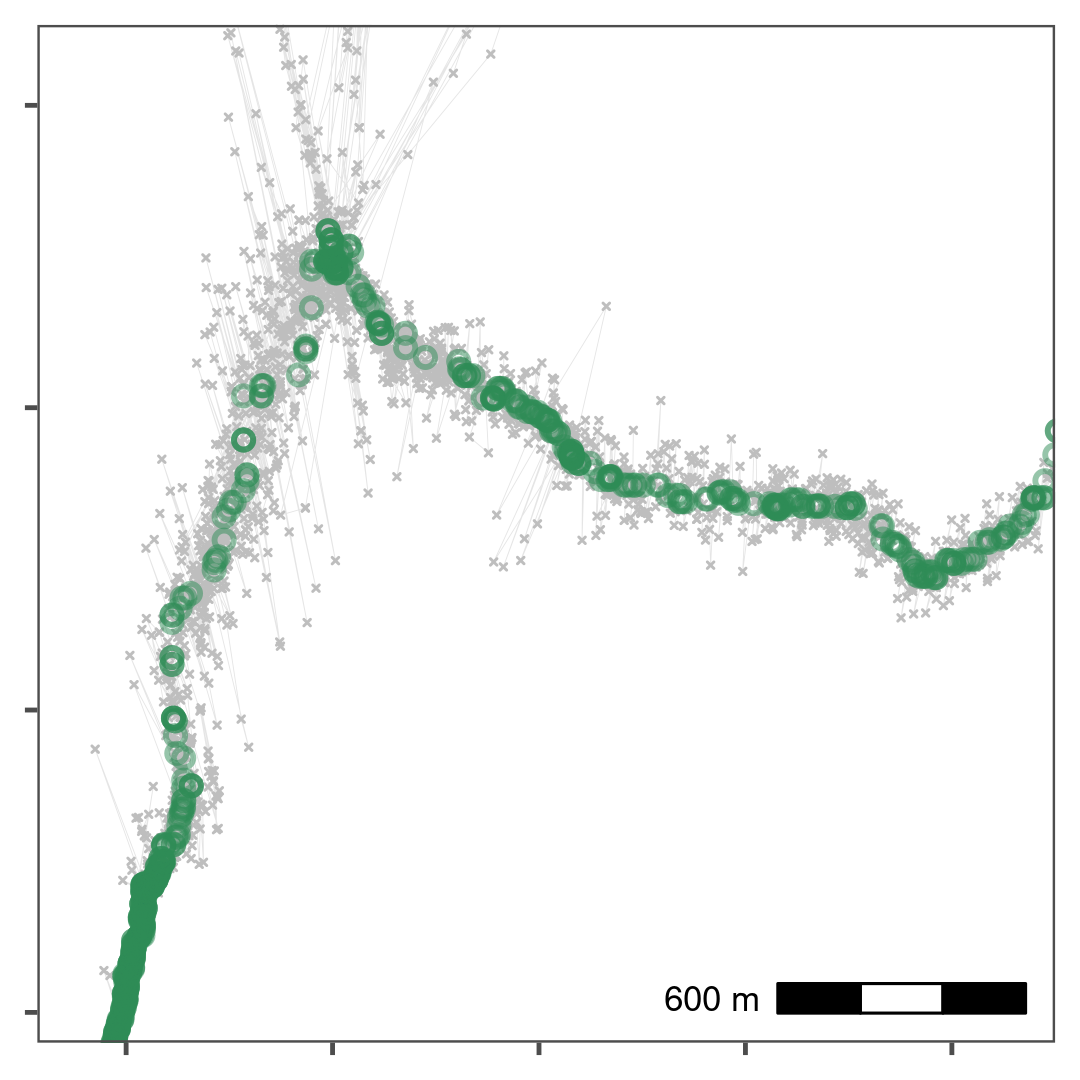 Reducing small-scale location error using a median smooth with a moving window K = 5. Median smoothed positions are shown in green, while raw, unfiltered data is shown in grey. Median smoothing successfully recovers the likely path of the track without a loss of data. The area shown is the upper rectangle from Fig. 1.3.